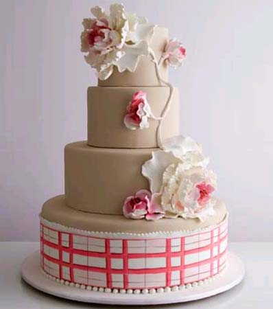 Cooking Cakes Edible